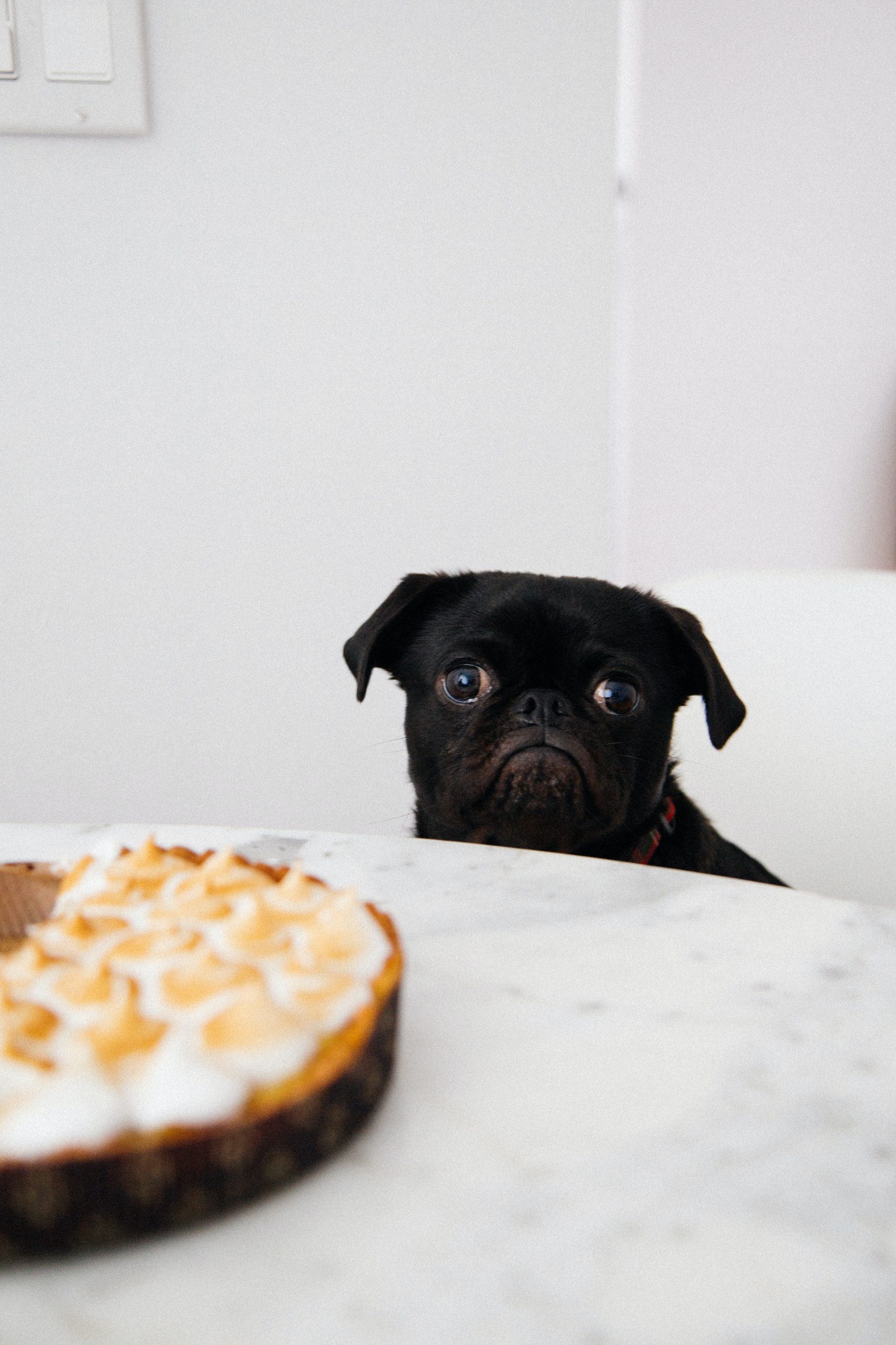 3 Gründe warum du mir keinen glutenfreien Kuchen backen sollst